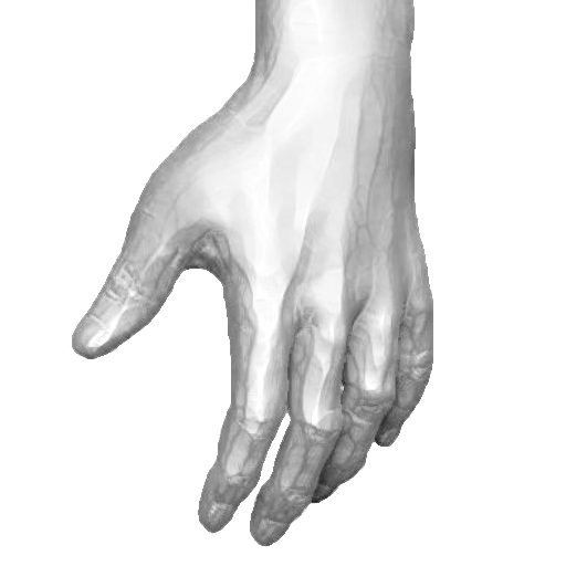 pp_hands_07_05 .png